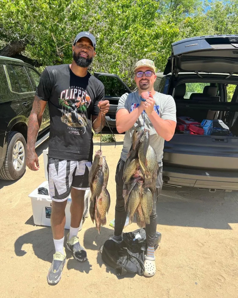 仅是身体的 仅是身体的