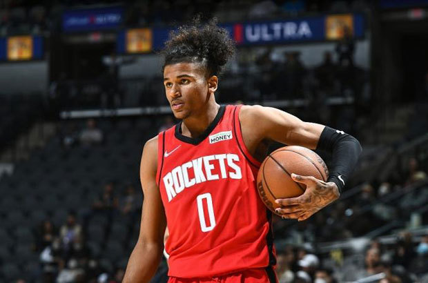 结论性展望 结论性展望