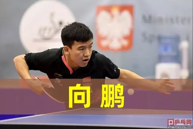 资本化的浪 资本化的浪