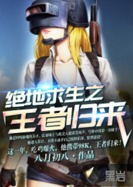 护盾